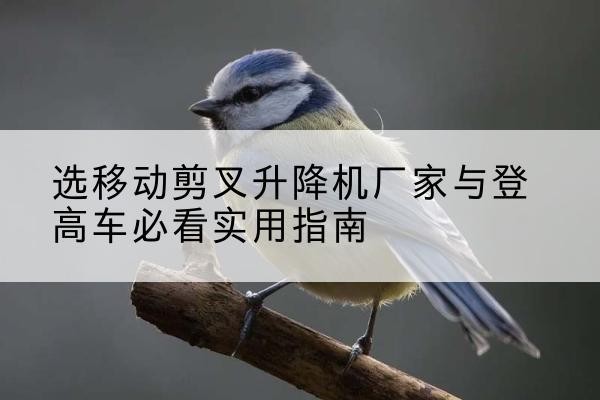 双柏电动升降机厂家-选移动剪叉升降机厂家与登高车必看实用指南