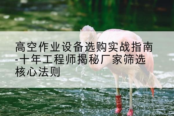 双柏剪叉式升降机厂家-高空作业设备选购实战指南-十年工程师揭秘厂家筛选核心法则