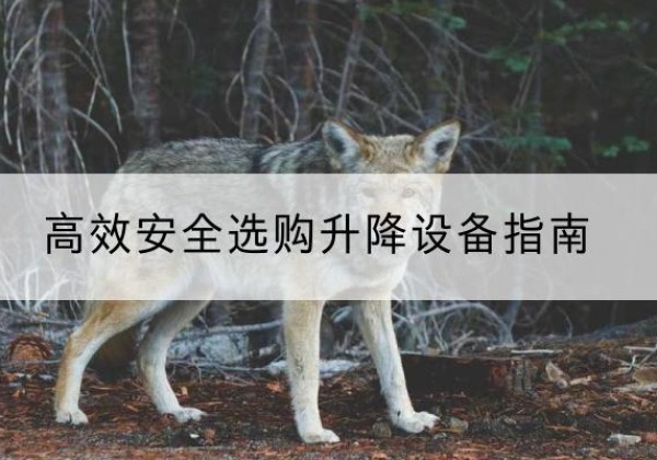 双柏升降货梯厂家推荐-*安全选购升降设备指南