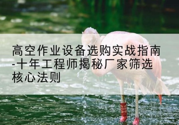双柏剪叉式升降机厂家-高空作业设备选购实战指南-十年工程师揭秘厂家筛选核心法则